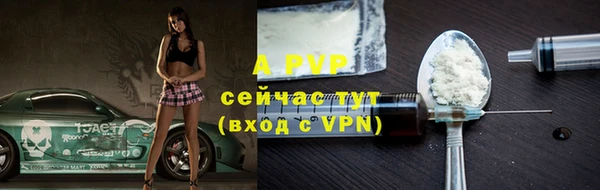 ПСИЛОЦИБИНОВЫЕ ГРИБЫ Гусев