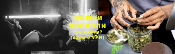 амф Гусиноозёрск