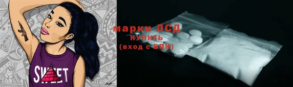амф Гусиноозёрск
