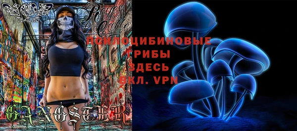 ПСИЛОЦИБИНОВЫЕ ГРИБЫ Гусев