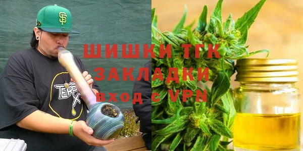 ПСИЛОЦИБИНОВЫЕ ГРИБЫ Гусев