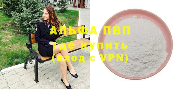 амф Гусиноозёрск