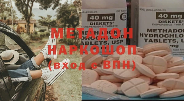 ПСИЛОЦИБИНОВЫЕ ГРИБЫ Гусев