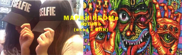 ПСИЛОЦИБИНОВЫЕ ГРИБЫ Гусев
