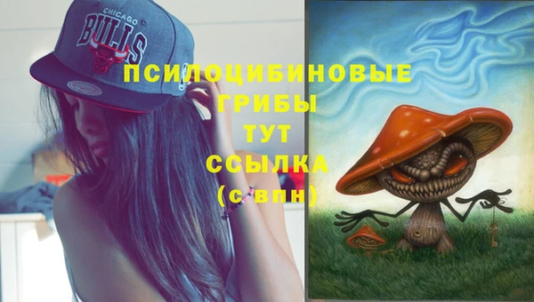 прущая мука Гусь-Хрустальный
