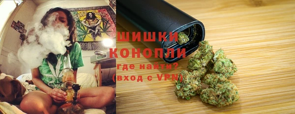 крисы Снежногорск