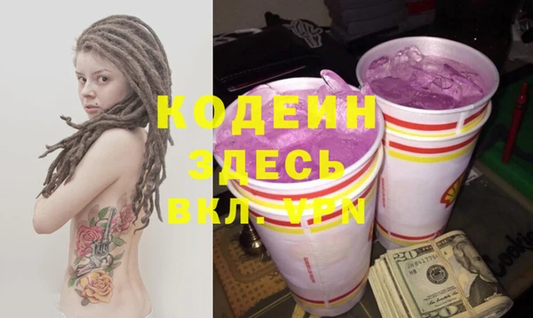 ПСИЛОЦИБИНОВЫЕ ГРИБЫ Гусев