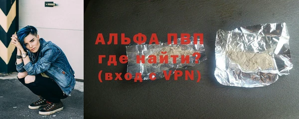 амф Гусиноозёрск