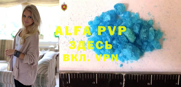 амф Гусиноозёрск